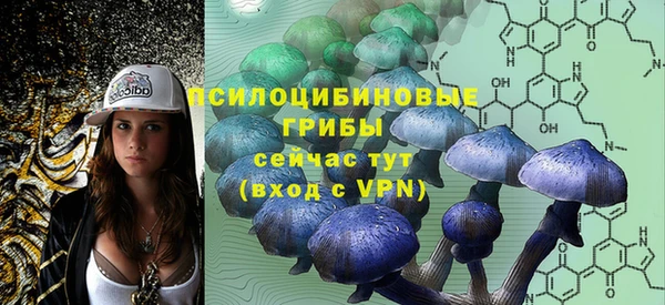 амф Белокуриха