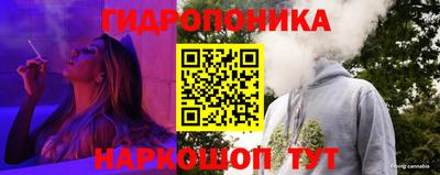ECSTASY Обь