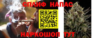 ECSTASY Обь