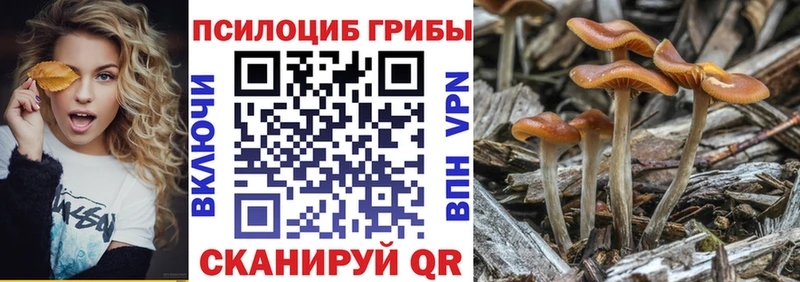 ОМГ ОМГ ССЫЛКА  Пыть-Ях  Псилоцибиновые грибы прущие грибы 