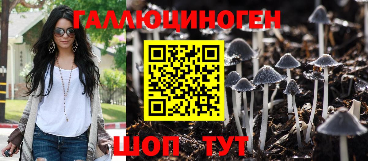 Пыть-Ях  Псилоцибиновые грибы мухоморы  Вход с VPN  Псилоцибиновые грибы прущие грибы 