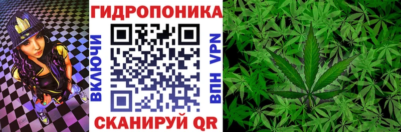 Бошки Шишки SATIVA & INDICA купить наркоту Пыть-Ях